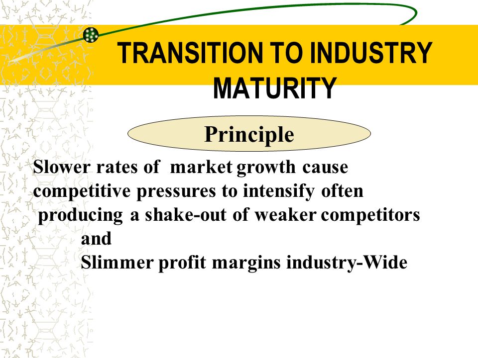 mature industry examples
